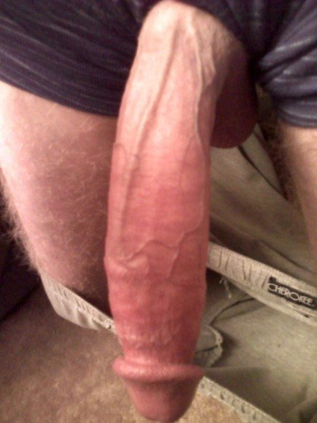 best of Inch white cock 10