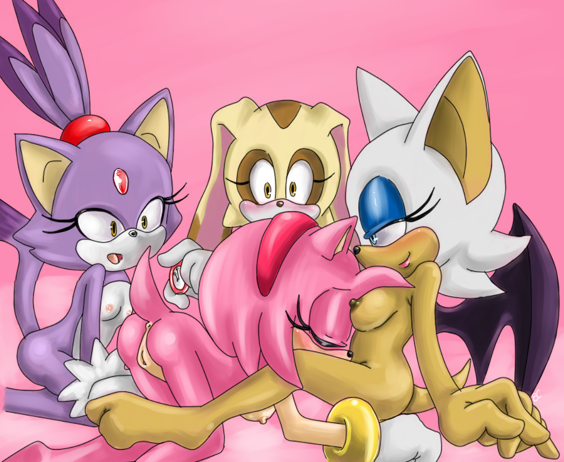 Cupcake reccomend amy rose and rouge the bat lesbian on boobspicshunter
