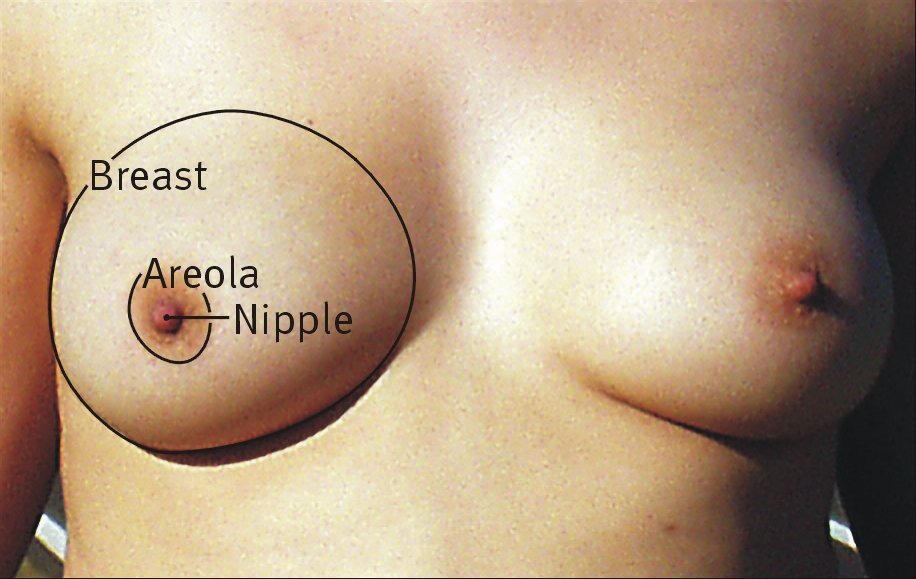 Breast stimulation