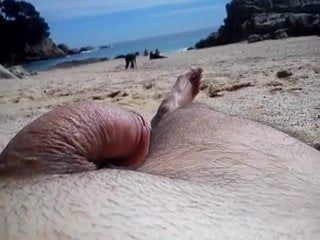 California reccomend playa nudista amateur